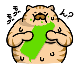 Sweaty Cat Part 2 sticker #688468