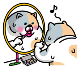 Sweaty Cat Part 2 sticker #688486