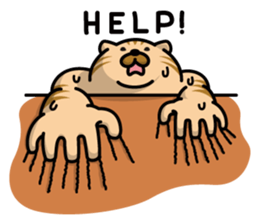 Sweaty Cat Part 2 sticker #688500