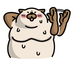 Sweaty Cat Part 2 sticker #688505