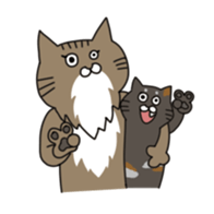 CAT'S sticker #688510