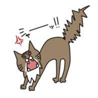 CAT'S sticker #688512