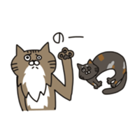 CAT'S sticker #688514