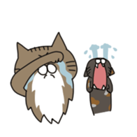 CAT'S sticker #688515