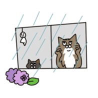 CAT'S sticker #688522