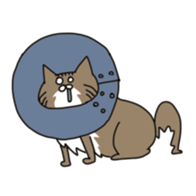 CAT'S sticker #688534