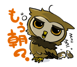 owl-Sticker sticker #689148