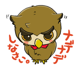 owl-Sticker sticker #689176