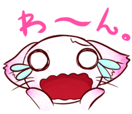 White cat sticker #689276