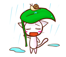 White cat sticker #689298