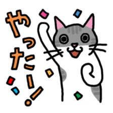 Cat's Comment sticker #689400