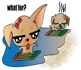 Cute Chihuahua dogs - best friends set sticker #696355