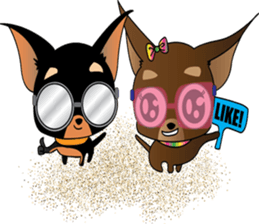 Cute Chihuahua dogs - best friends set sticker #696358