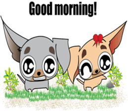 Cute Chihuahua dogs - best friends set sticker #696362