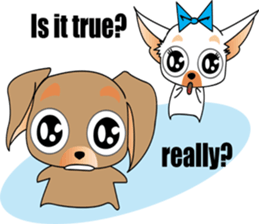 Cute Chihuahua dogs - best friends set sticker #696364