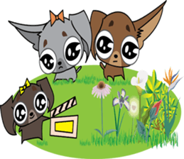 Cute Chihuahua dogs - best friends set sticker #696376