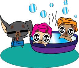 Cute Chihuahua dogs - best friends set sticker #696389