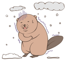 Life of the Beaver sticker #697500