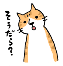 Mr.NECO and dialect of Shizuoka sticker #699037