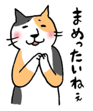Mr.NECO and dialect of Shizuoka sticker #699044