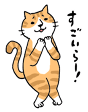 Mr.NECO and dialect of Shizuoka sticker #699049