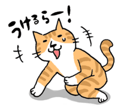 Mr.NECO and dialect of Shizuoka sticker #699051