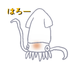 Todarodes pacificus sticker #699127