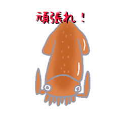 Todarodes pacificus sticker #699145