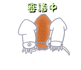 Todarodes pacificus sticker #699148