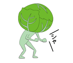 rabit cabbage sticker #699242