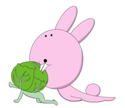 rabit cabbage sticker #699262