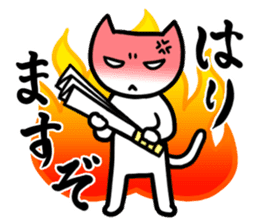 Cat in Tokushima [AWA-ben] sticker #699658