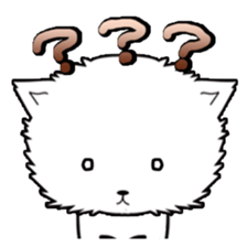 No brake cat sticker #704796