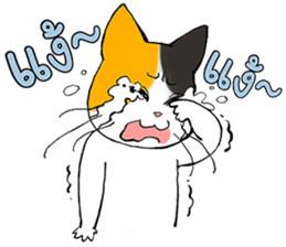 Madam Samsi (TH) sticker #704878