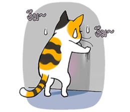 Madam Samsi (TH) sticker #704882