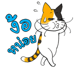 Madam Samsi (TH) sticker #704898