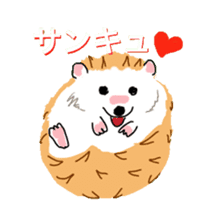 Hedgehog HARIO and NEZUMIKO sticker #705831