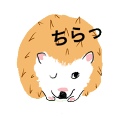 Hedgehog HARIO and NEZUMIKO sticker #705834