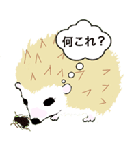 Hedgehog HARIO and NEZUMIKO sticker #705850