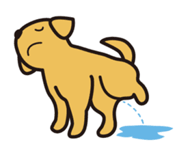 Labrador Sticker sticker #708795