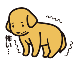 Labrador Sticker sticker #708797