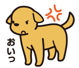 Labrador Sticker sticker #708801