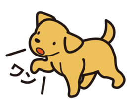 Labrador Sticker sticker #708802