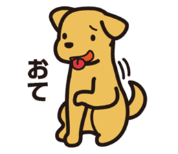 Labrador Sticker sticker #708809
