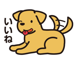 Labrador Sticker sticker #708810