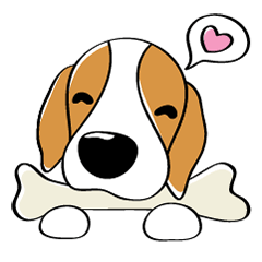 Toffee The Beagle