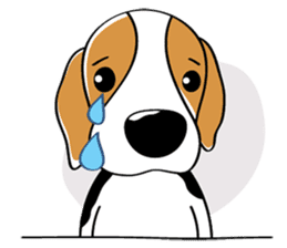 Toffee The Beagle sticker #709805