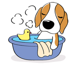 Toffee The Beagle sticker #709815