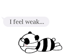 Striped panda (English version) sticker #710772