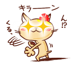 the pad of cat @ hawaii sticker #713076